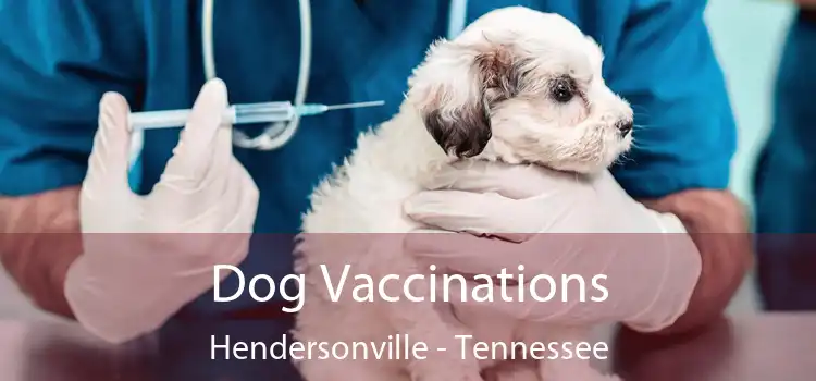 Dog Vaccinations Hendersonville - Tennessee