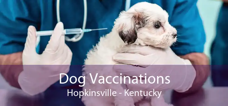 Dog Vaccinations Hopkinsville - Kentucky