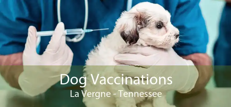 Dog Vaccinations La Vergne - Tennessee