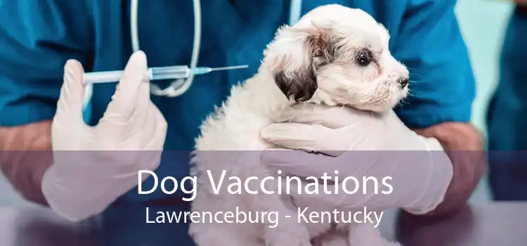 Dog Vaccinations Lawrenceburg - Kentucky