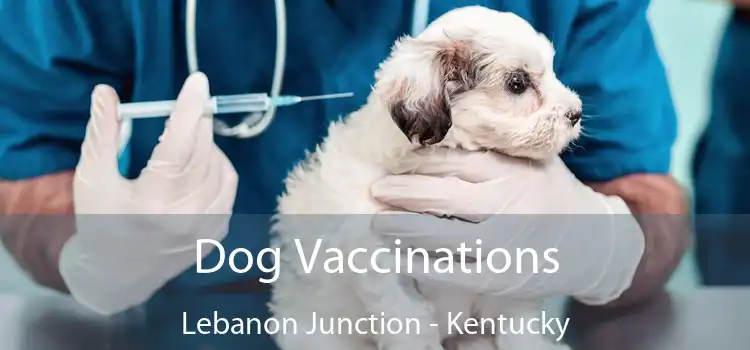 Dog Vaccinations Lebanon Junction - Kentucky