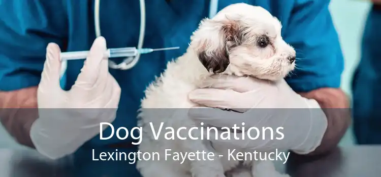 Dog Vaccinations Lexington Fayette - Kentucky