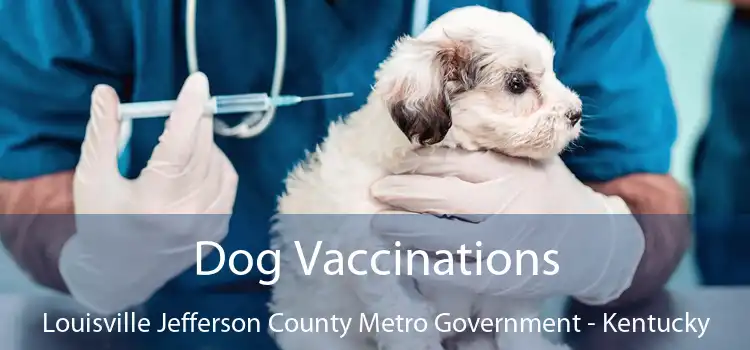 Dog Vaccinations Louisville Jefferson County Metro Government - Kentucky