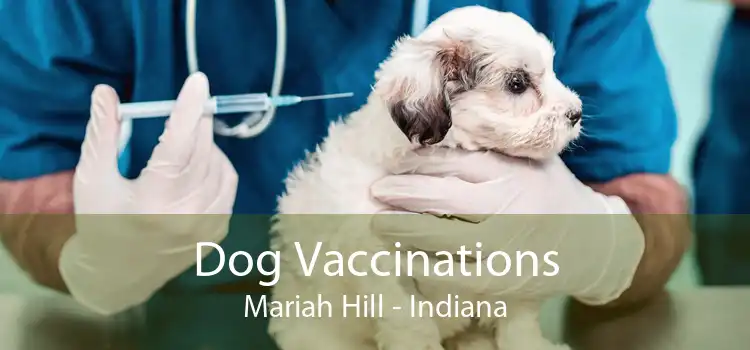 Dog Vaccinations Mariah Hill - Indiana