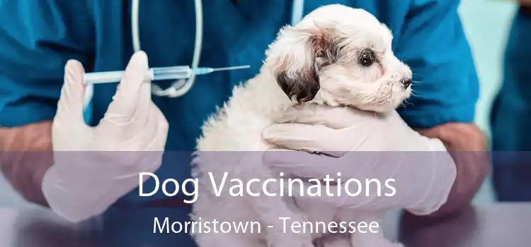 Dog Vaccinations Morristown - Tennessee