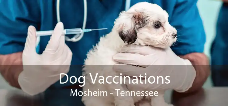 Dog Vaccinations Mosheim - Tennessee