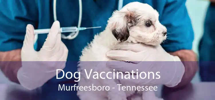 Dog Vaccinations Murfreesboro - Tennessee