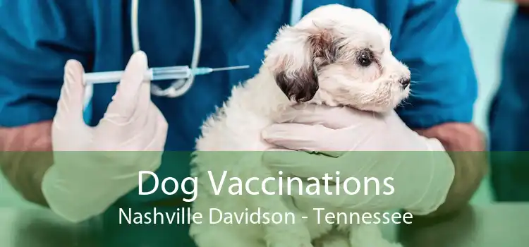 Dog Vaccinations Nashville Davidson - Tennessee
