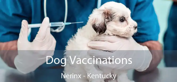 Dog Vaccinations Nerinx - Kentucky