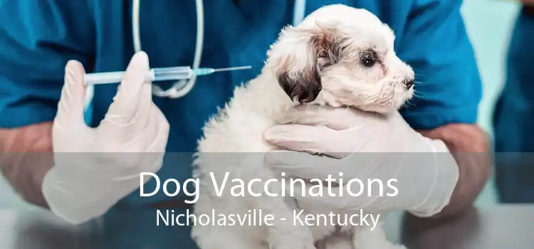 Dog Vaccinations Nicholasville - Kentucky