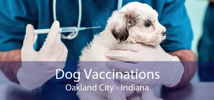 Dog Vaccinations Oakland City - Indiana
