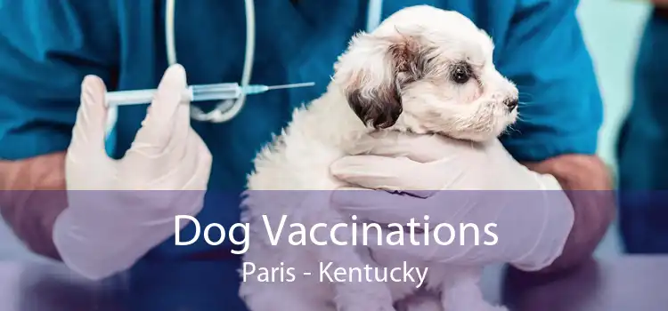Dog Vaccinations Paris - Kentucky