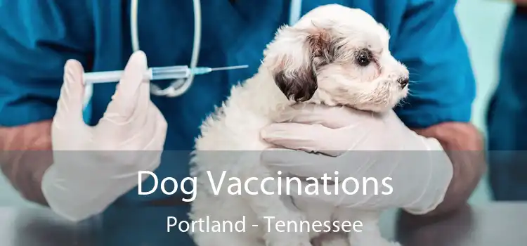 Dog Vaccinations Portland - Tennessee