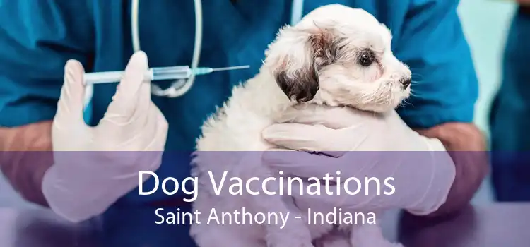 Dog Vaccinations Saint Anthony - Indiana