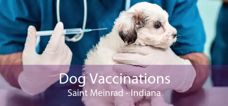 Dog Vaccinations Saint Meinrad - Indiana