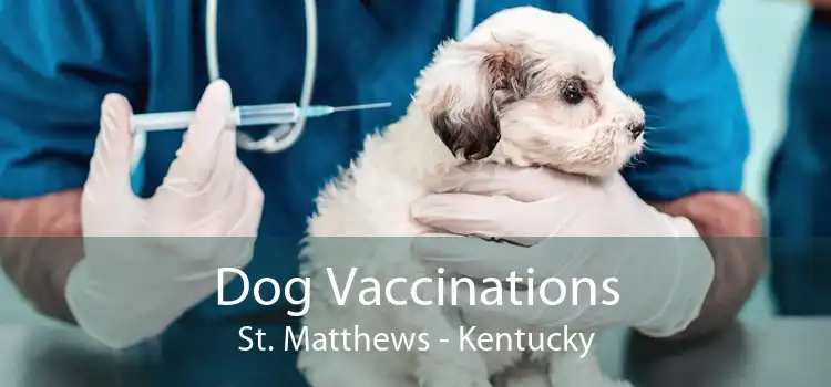 Dog Vaccinations St. Matthews - Kentucky