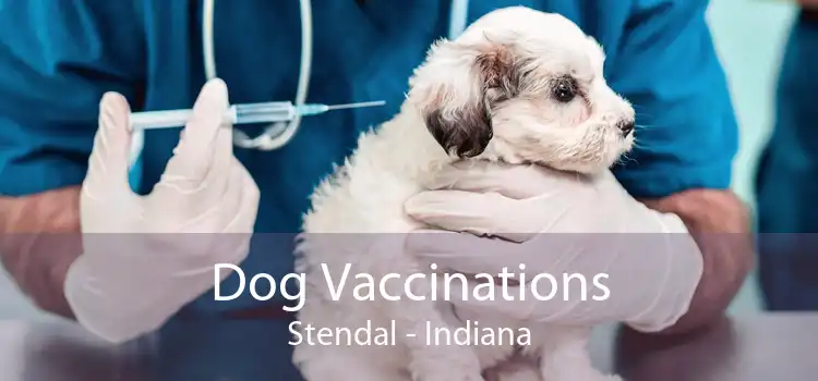 Dog Vaccinations Stendal - Indiana