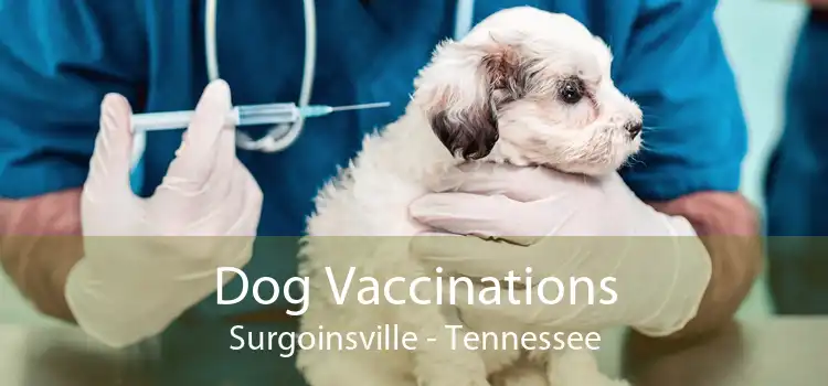 Dog Vaccinations Surgoinsville - Tennessee