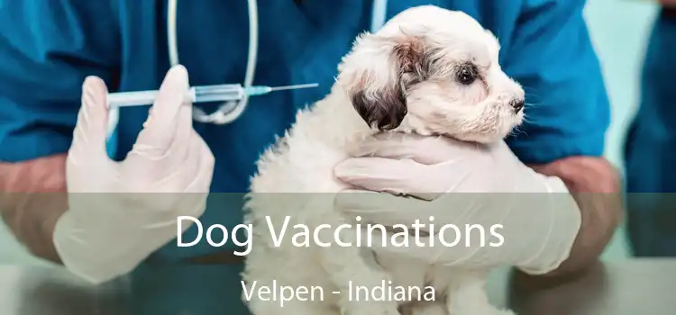 Dog Vaccinations Velpen - Indiana