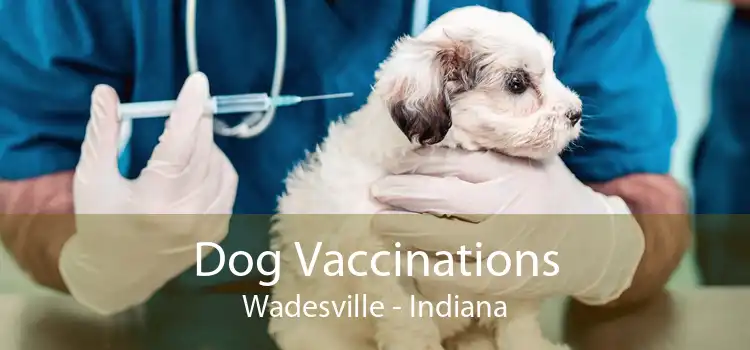 Dog Vaccinations Wadesville - Indiana