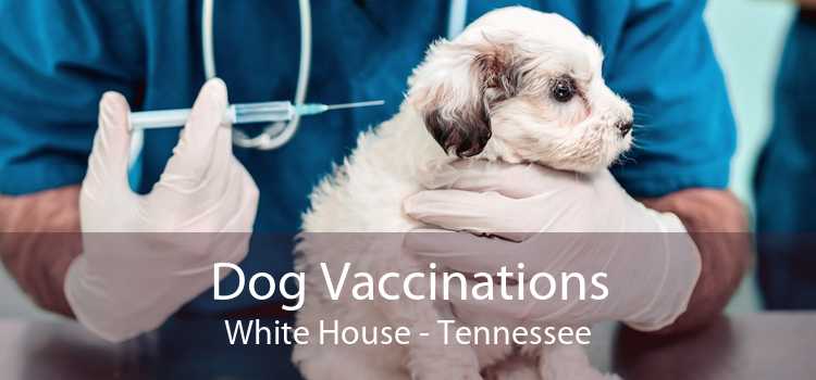 Dog Vaccinations White House - Tennessee