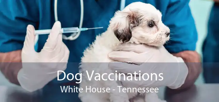 Dog Vaccinations White House - Tennessee