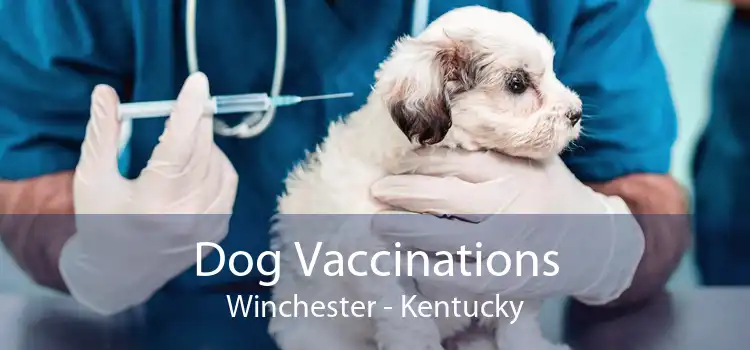Dog Vaccinations Winchester - Kentucky