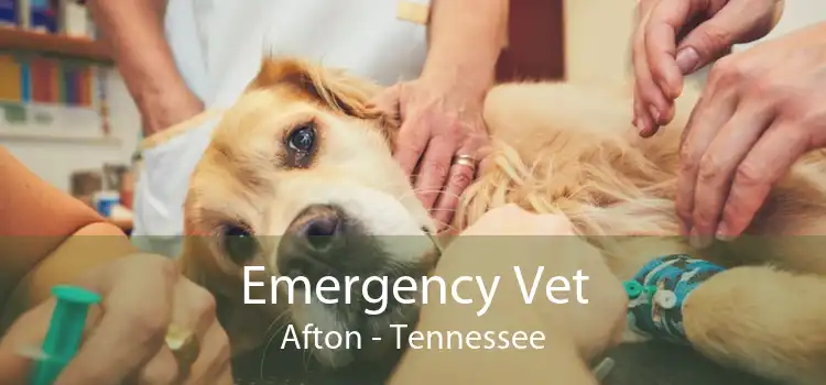Emergency Vet Afton - Tennessee