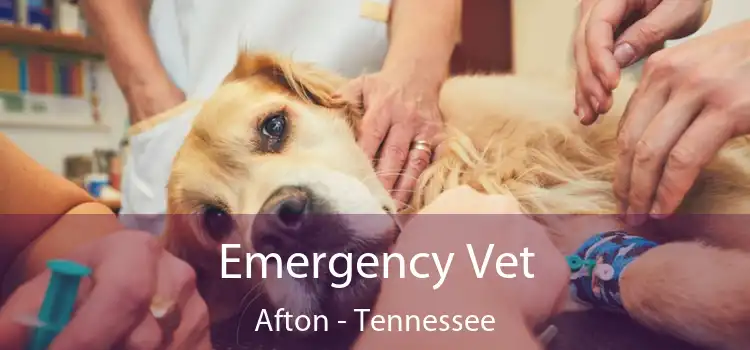 Emergency Vet Afton - Tennessee