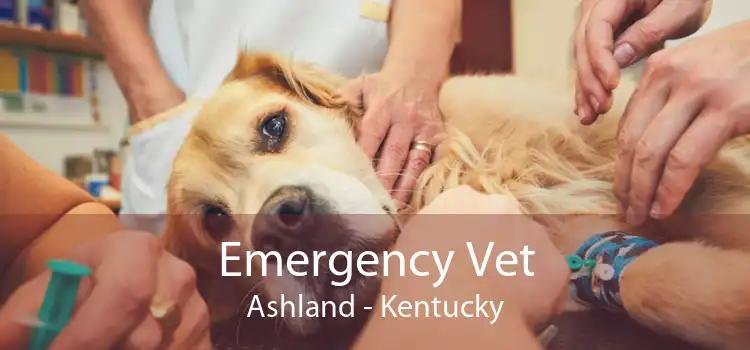Emergency Vet Ashland - Kentucky