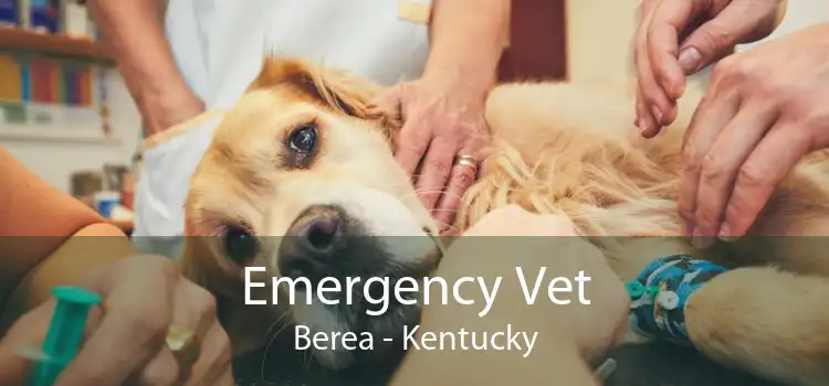 Emergency Vet Berea - Kentucky