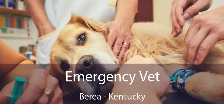 Emergency Vet Berea - Kentucky
