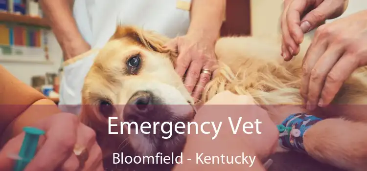 Emergency Vet Bloomfield - Kentucky