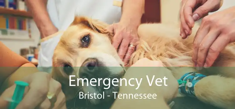 Emergency Vet Bristol - Tennessee