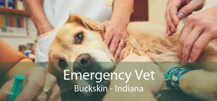 Emergency Vet Buckskin - Indiana