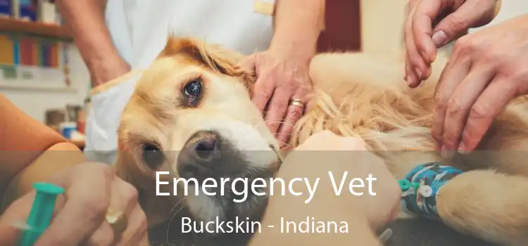 Emergency Vet Buckskin - Indiana