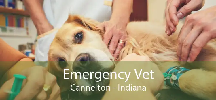 Emergency Vet Cannelton - Indiana
