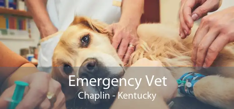 Emergency Vet Chaplin - Kentucky