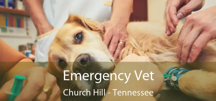 Emergency Vet Church Hill - Tennessee