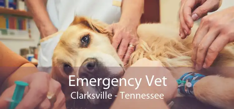 Emergency Vet Clarksville - Tennessee