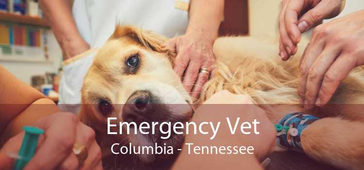 Emergency Vet Columbia - Tennessee
