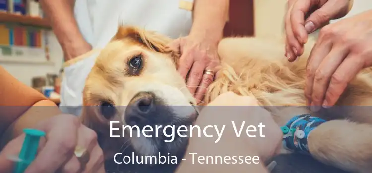 Emergency Vet Columbia - Tennessee