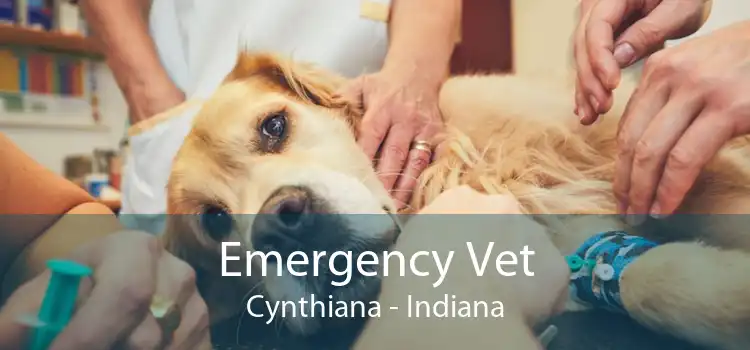 Emergency Vet Cynthiana - Indiana