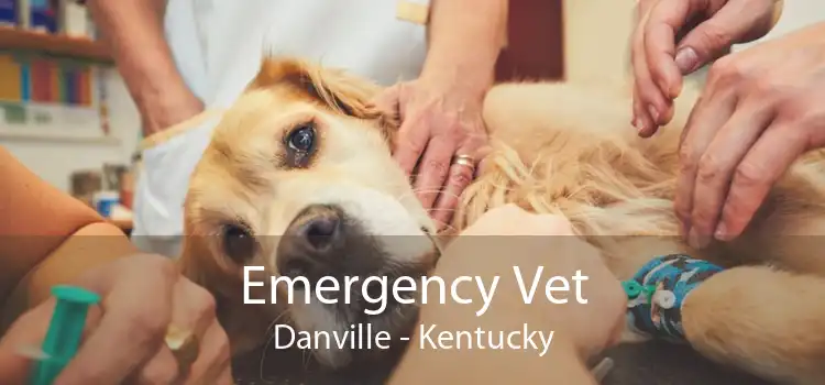 Emergency Vet Danville - Kentucky