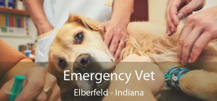 Emergency Vet Elberfeld - Indiana