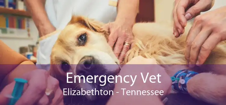 Emergency Vet Elizabethton - Tennessee