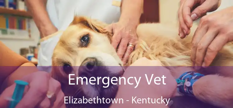 Emergency Vet Elizabethtown - Kentucky