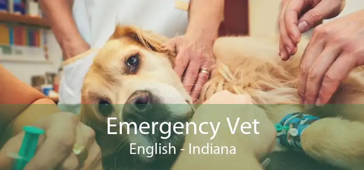 Emergency Vet English - Indiana