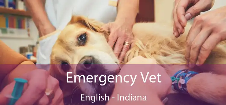 Emergency Vet English - Indiana