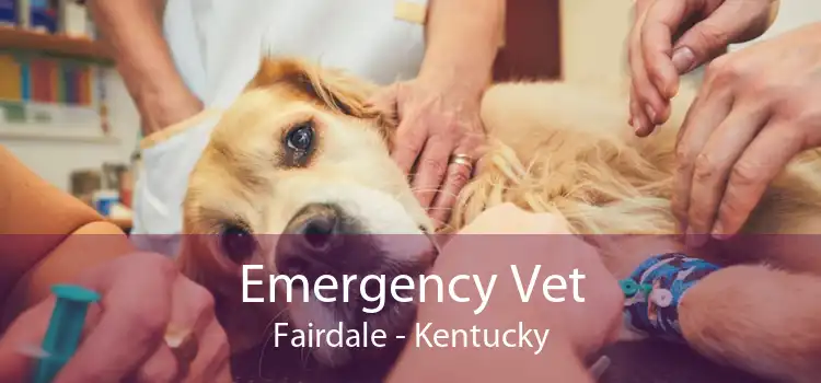 Emergency Vet Fairdale - Kentucky